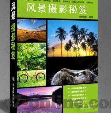 足球比分即时比分比分-足球比分即时比分，绿茵场上的数字脉搏