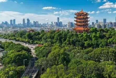 足球移动比分-足球移动比分，科技重塑观赛体验的革命性变革